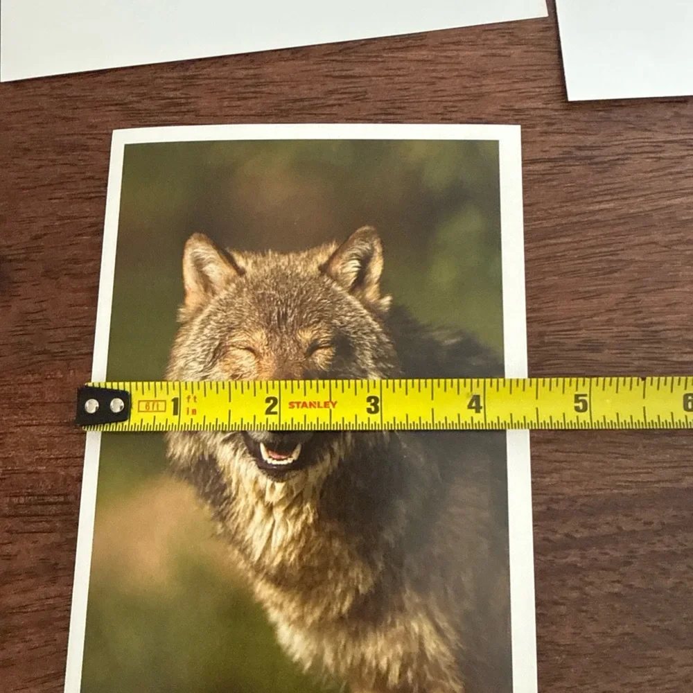 Lot of 4 blank note cards with pictures of wolves